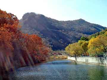 新澳天天开奖资料大全旅游团，洗油